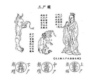 Daoist Diet - 道教世界 - Dao World